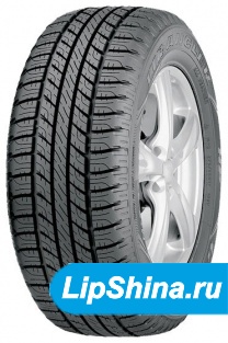 Wrangler HP