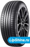 295/35 R20 Winrun R330 105W