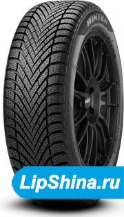 Cinturato Winter