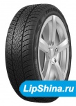 225/55 R17 Triangle TW401 WinterX 101V