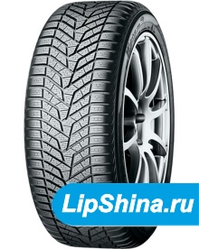 BluEarth Winter V905