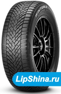 Scorpion Winter 2 Elect