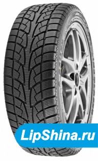 ICE BLAZER WSL2
