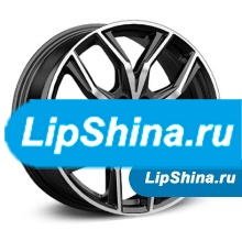 Арика