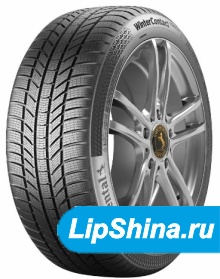 ContiWinterContact TS870P
