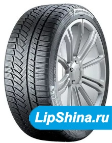 ContiWinterContactTS850P